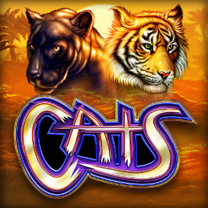 ICON_Cats_300x300_1736137927075